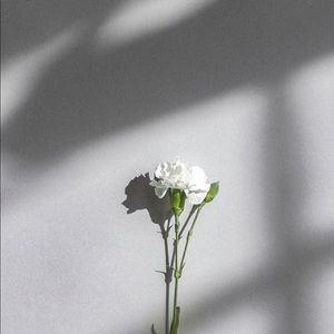 Meet your Posher, Taty